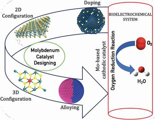 Progressions in cathodic catalysts for oxygen reduction and hydrogen evolution in bioelectrochemical systems: Molybdenum next-generation catalyst